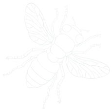 Section Background Image